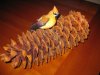 Cedar Waxwing.jpg