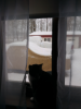 20201225_124556.png