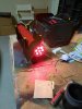 74 lights.jpg