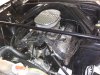 20220606_120519.jpg