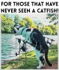 FB_IMG_1752416736186.jpg