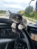 FB_IMG_1739246104407.jpg