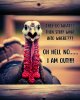 FB_IMG_1764264573969.jpg