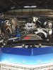 IMG_20251115_082553.jpg